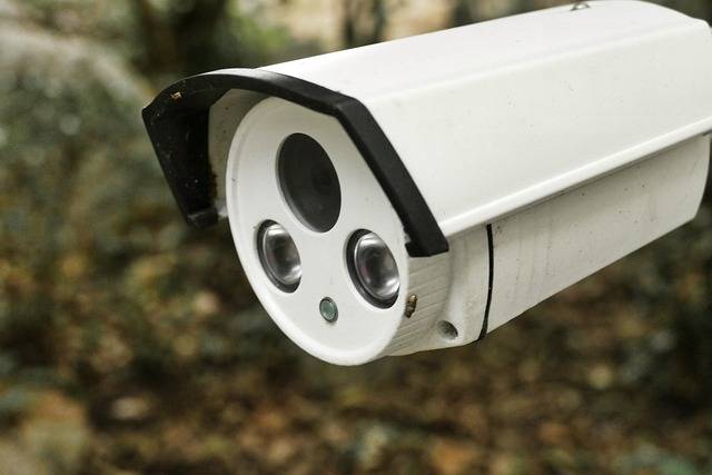 Techniques avancées de camouflage pour caméras de surveillance : intégration discrète dans votre décor